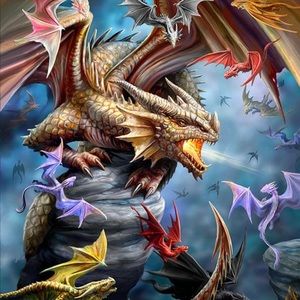 Meet your Posher, Cal